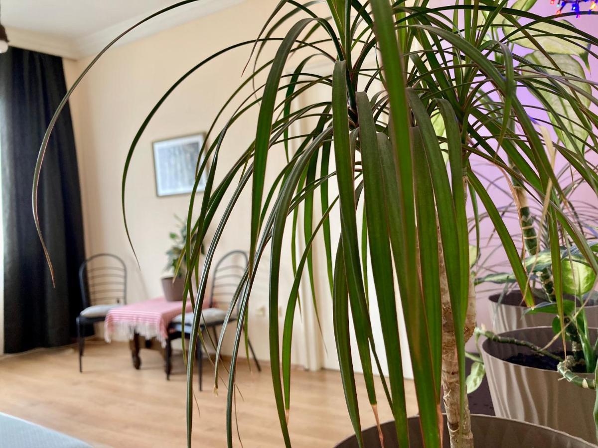 Terazije Square Lux Apartment Belgrado Exterior foto